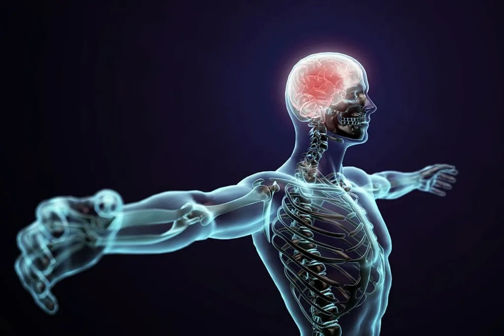 Module V: Functional Progression, Health Improvement Matrices, & Lifestyle Prescription